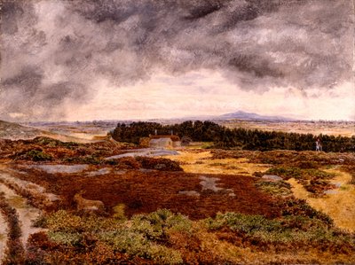 Uitzicht vanaf Bidston Hill door William Davis